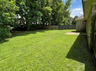 Frank A.'s lawn care service result