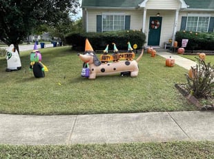 Jalen C.'s turf maintenance service result