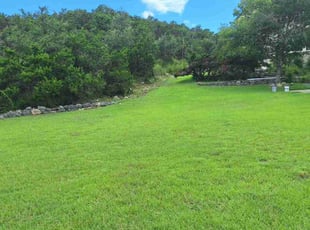 Christopher H.'s lawn maintenance service result