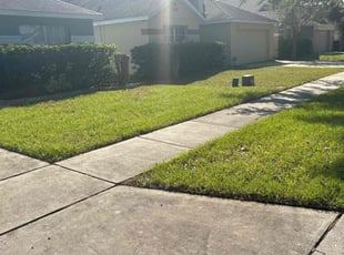 William G.'s turf care service result