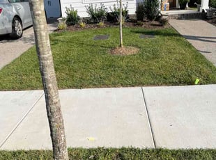 David C.'s lawn service service result