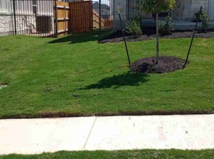 Karen A.'s lawn care services service result