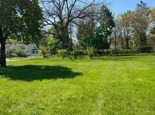 Carol K.'s grass cutting service result