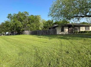 Tara R.'s turf care service result