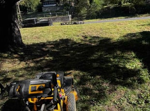 Tom B.'s grass cutting service result