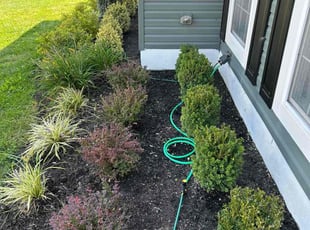 Megan M.'s lawn care service result