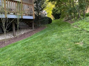Monica L.'s grass cutting service result