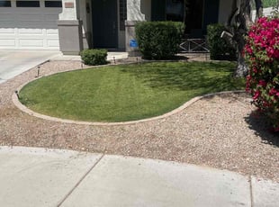 Shandraya H.'s lawn maintenance service result