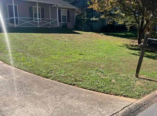 Joseph M.'s turf maintenance service result