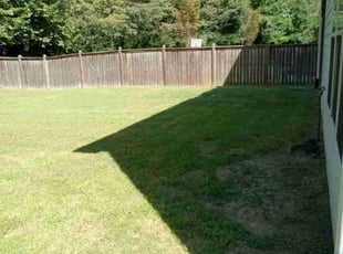 Nancy C.'s turf maintenance service result