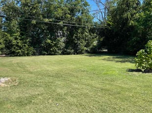 Jennida W.'s grass maintenance service result