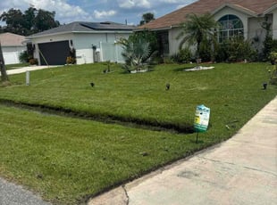 Brian W.'s lawn care service result