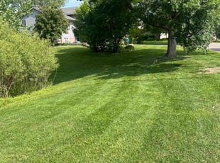 Mindy T.'s turf care service result