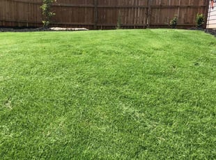 Tracey N.'s grass cutting service result