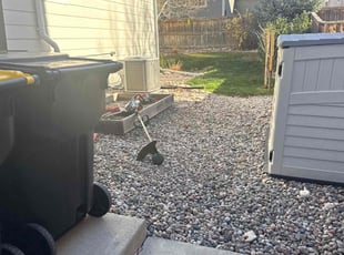 Melanie D.'s Leaf Removal service result