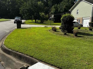 Eric H.'s lawn care service result