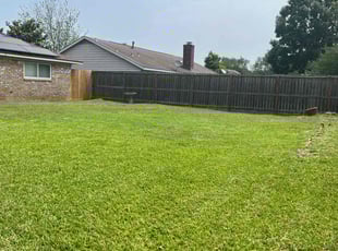 Tranel S.'s grass cutting service result