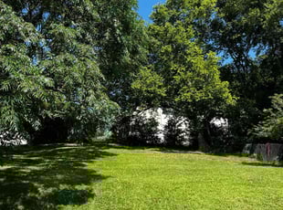 Sammy S.'s lawn service service result