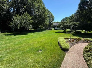 Jared F.'s lawn care services service result