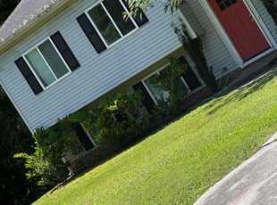 Veronica K.'s turf care service result