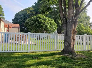 Kathy O.'s grass cutting service result