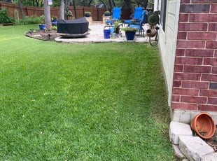 Lauranne B.'s grass cutting service result