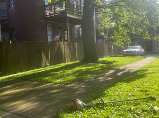 Caroline N.'s lawn service service result