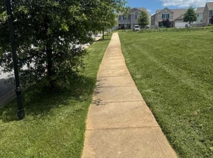 James C.'s grass maintenance service result
