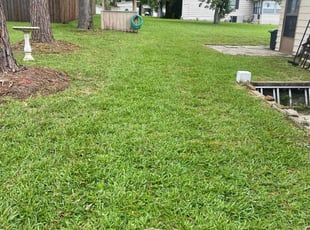 Mike W.'s lawn maintenance service result