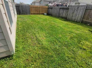 Mara S.'s lawn service service result