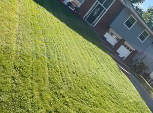 Kem F.'s grass maintenance service result