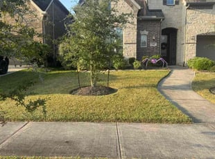 Sopenia G.'s grass cutting service result