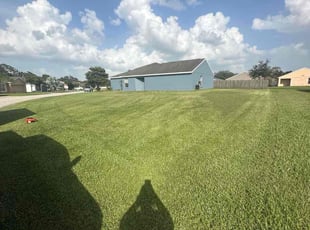 Erin C.'s grass cutting service result