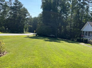 Bridgette C.'s grass maintenance service result