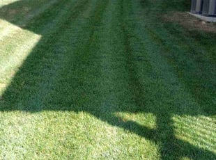 Joe A.'s residential landscaping service result