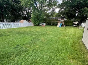 Susan K.'s lawn care service result