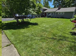 Donna F.'s turf maintenance service result