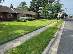 Rachel O.'s grass cutting service result