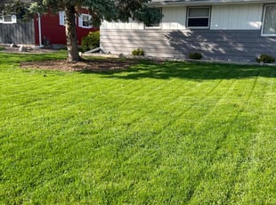 Erica M.'s grass maintenance service result