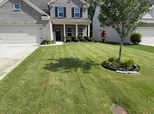 Lokesh M.'s turf maintenance service result