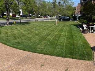 Sue H.'s turf maintenance service result