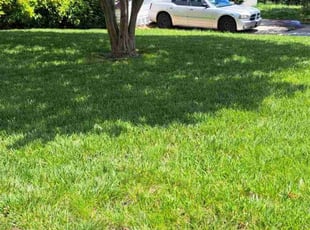 Kathy N.'s lawn care services service result