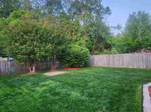 Judy N.'s turf maintenance service result