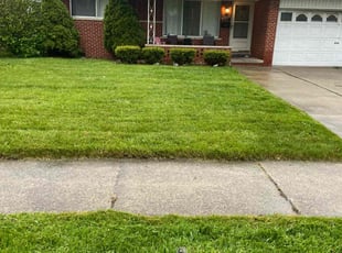 William G.'s lawn service service result