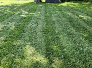 Joe O.'s turf maintenance service result