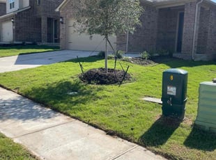 Ezekiel E.'s lawn service service result