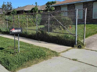 Tina D.'s grass cutting service result