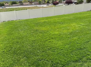 Mimi H.'s landscaping services service result