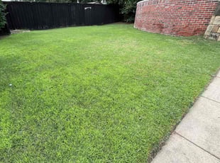 Mary S.'s lawn care service result