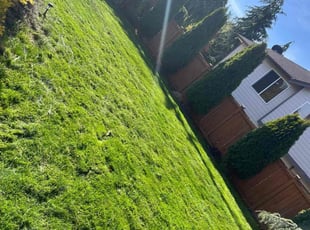 Rupika G.'s grass cutting service result